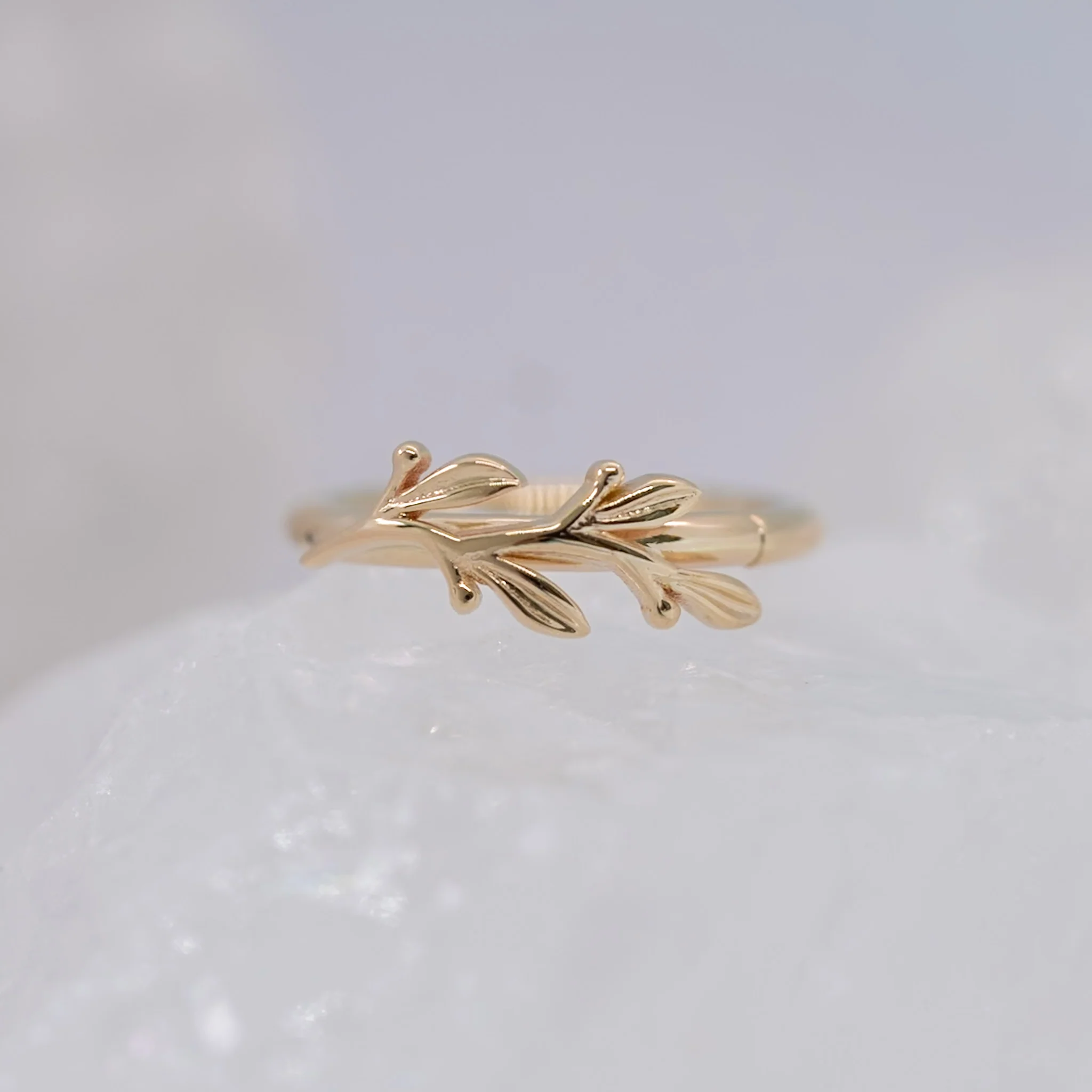 BVLA Amity Seam Ring - Conch Orientation