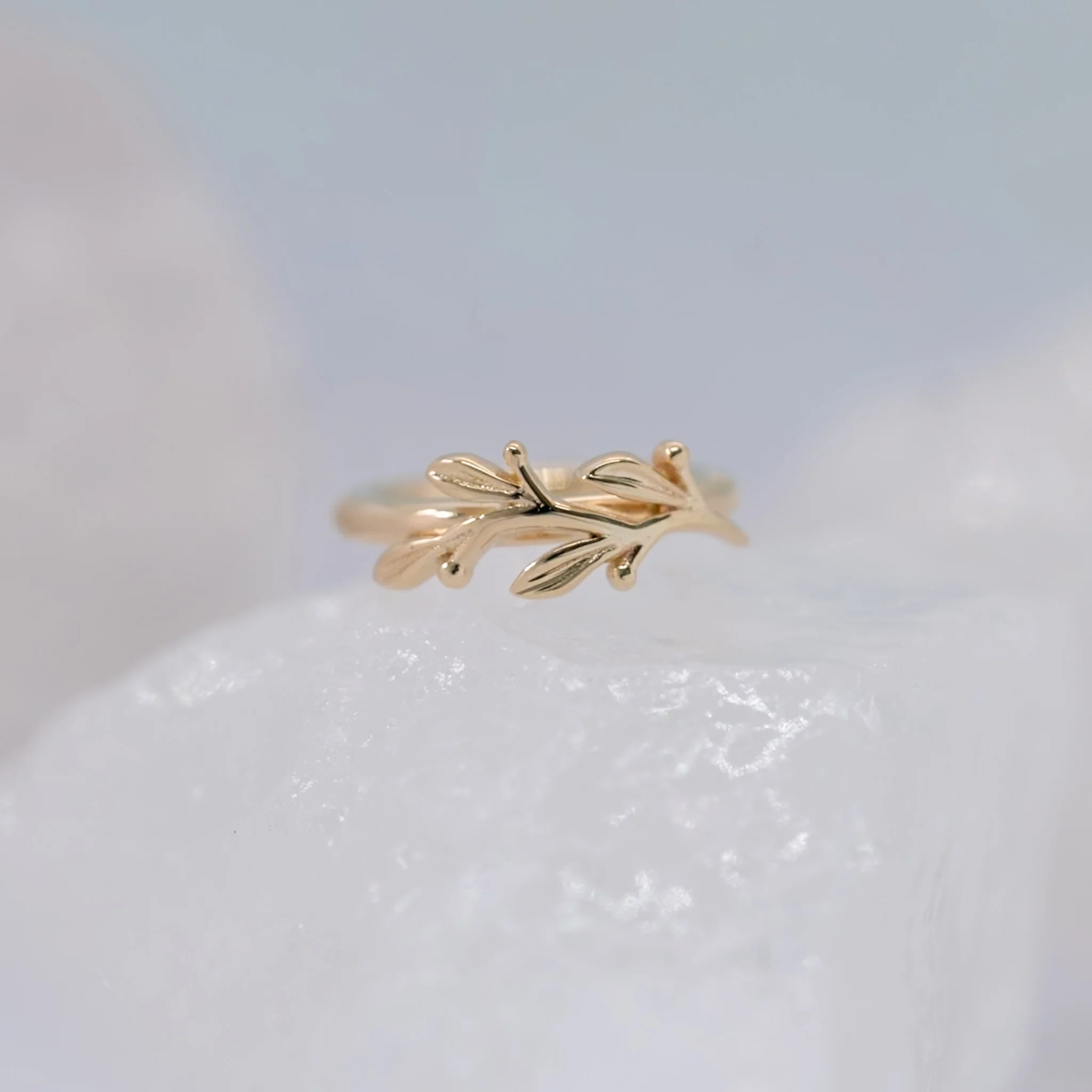 BVLA Amity Seam Ring - Conch Orientation - Image 2