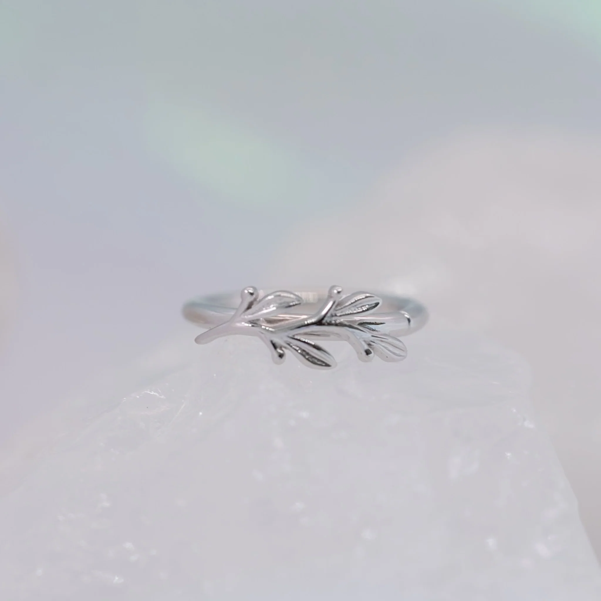 BVLA Amity Seam Ring - Conch Orientation - Image 3