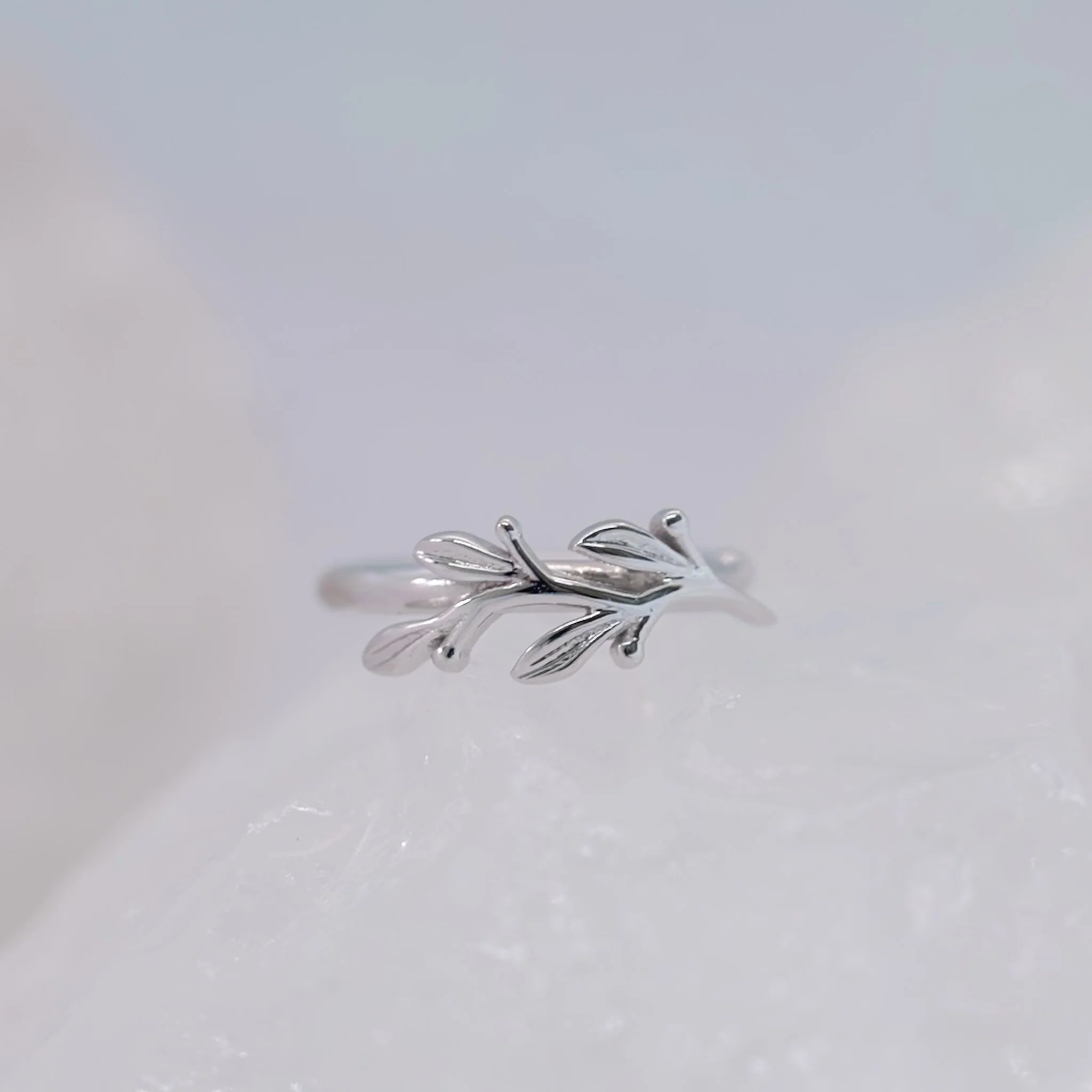 BVLA Amity Seam Ring - Conch Orientation - Image 4