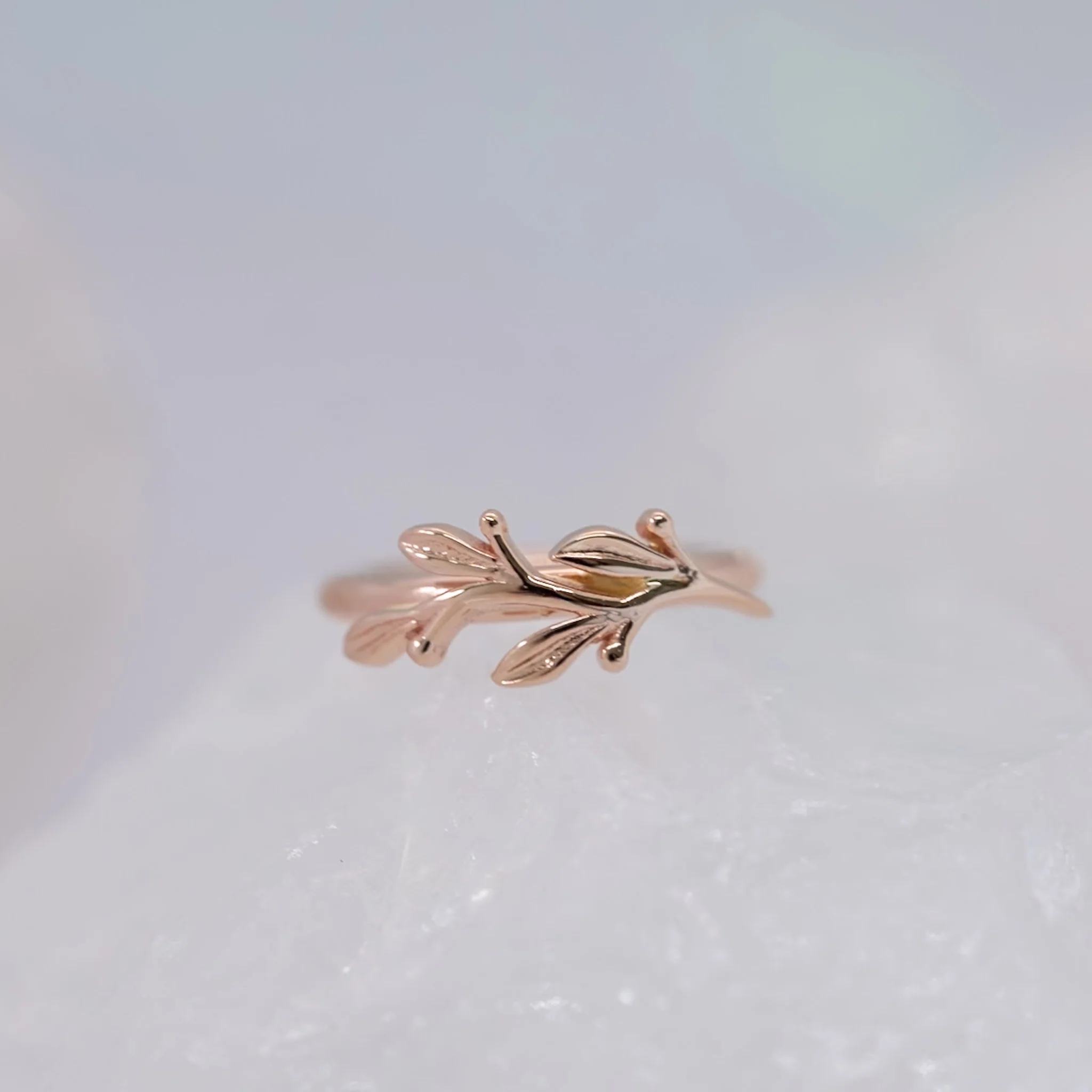 BVLA Amity Seam Ring - Conch Orientation - Image 5