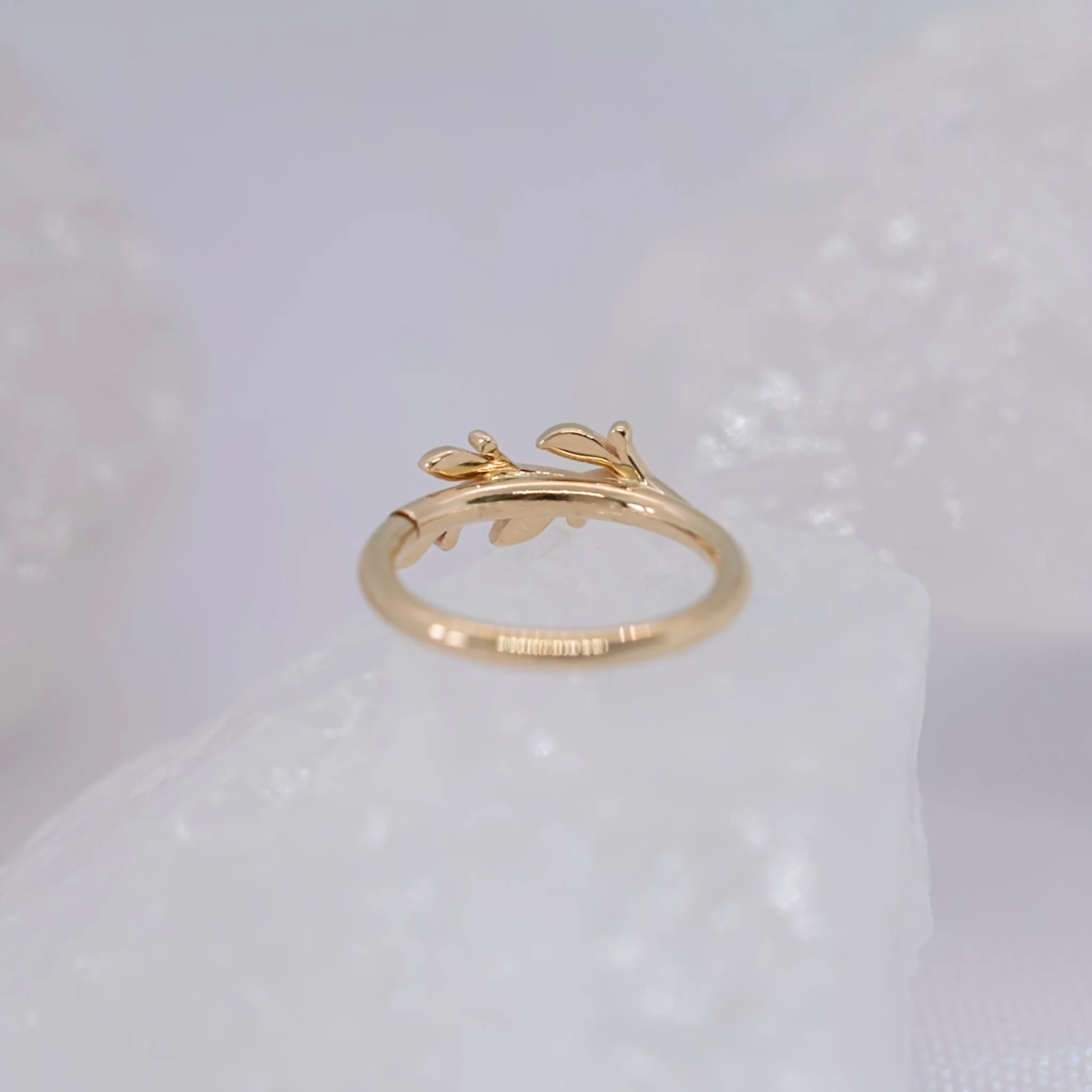 BVLA Amity Seam Ring - Conch Orientation - Image 6