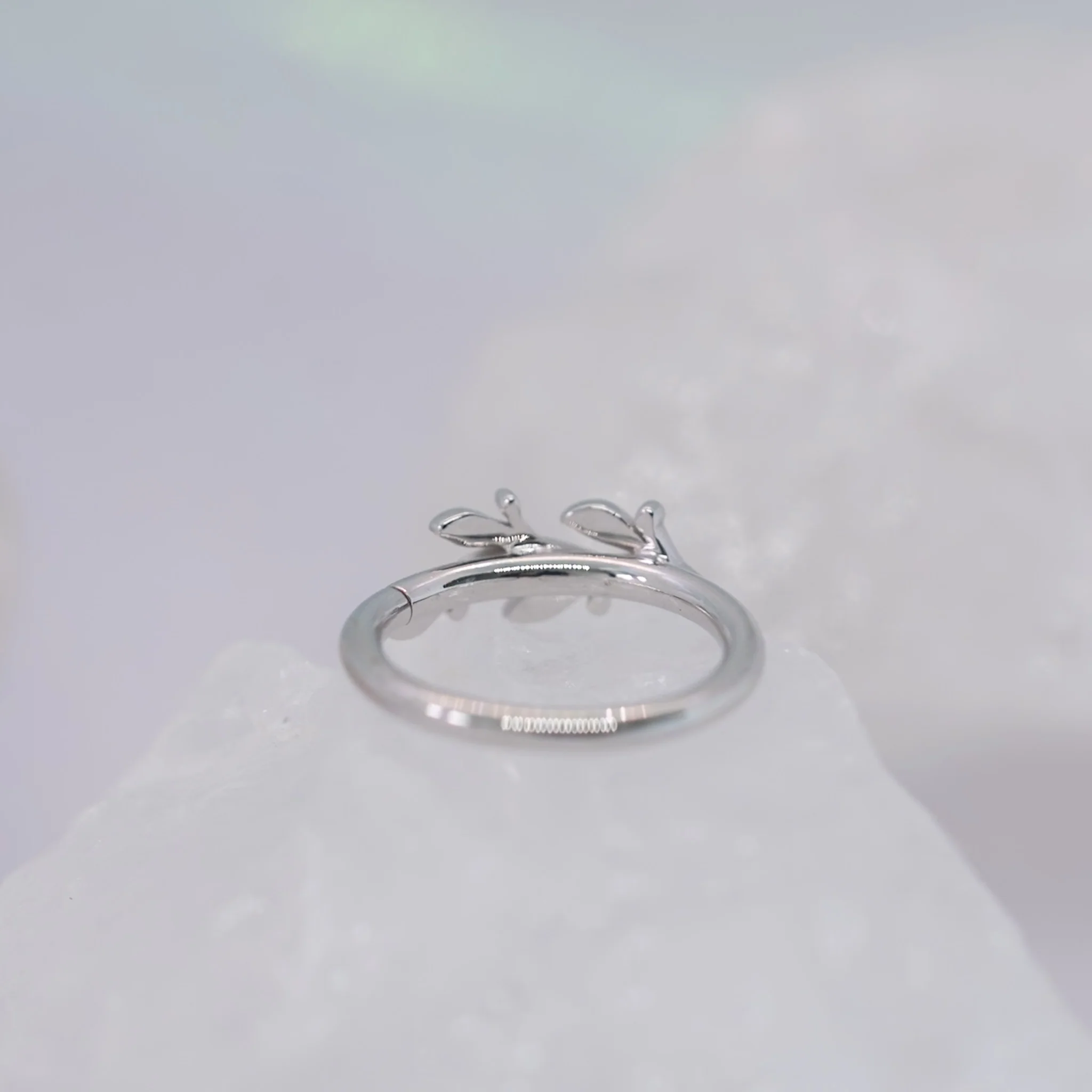 BVLA Amity Seam Ring - Conch Orientation - Image 8