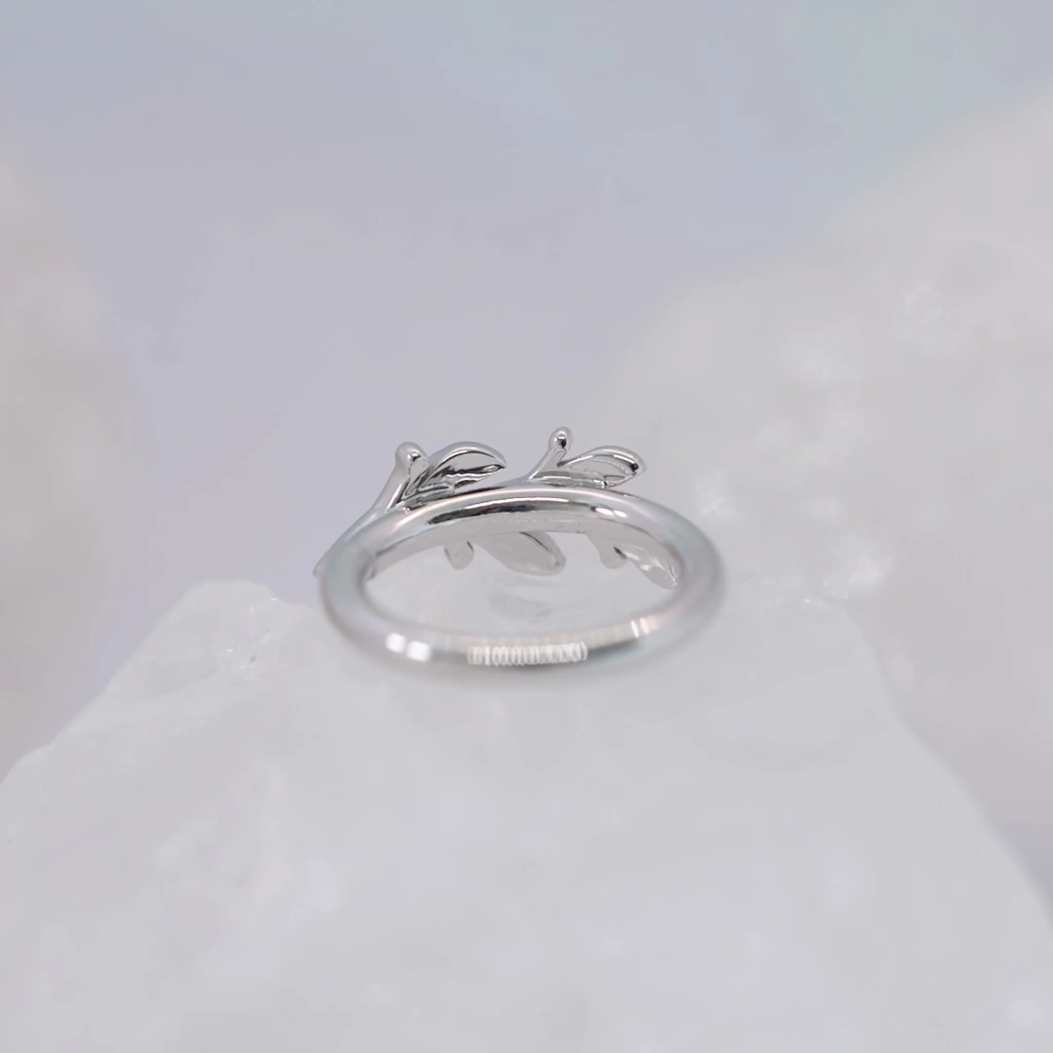 BVLA Amity Seam Ring - Conch Orientation - Image 9