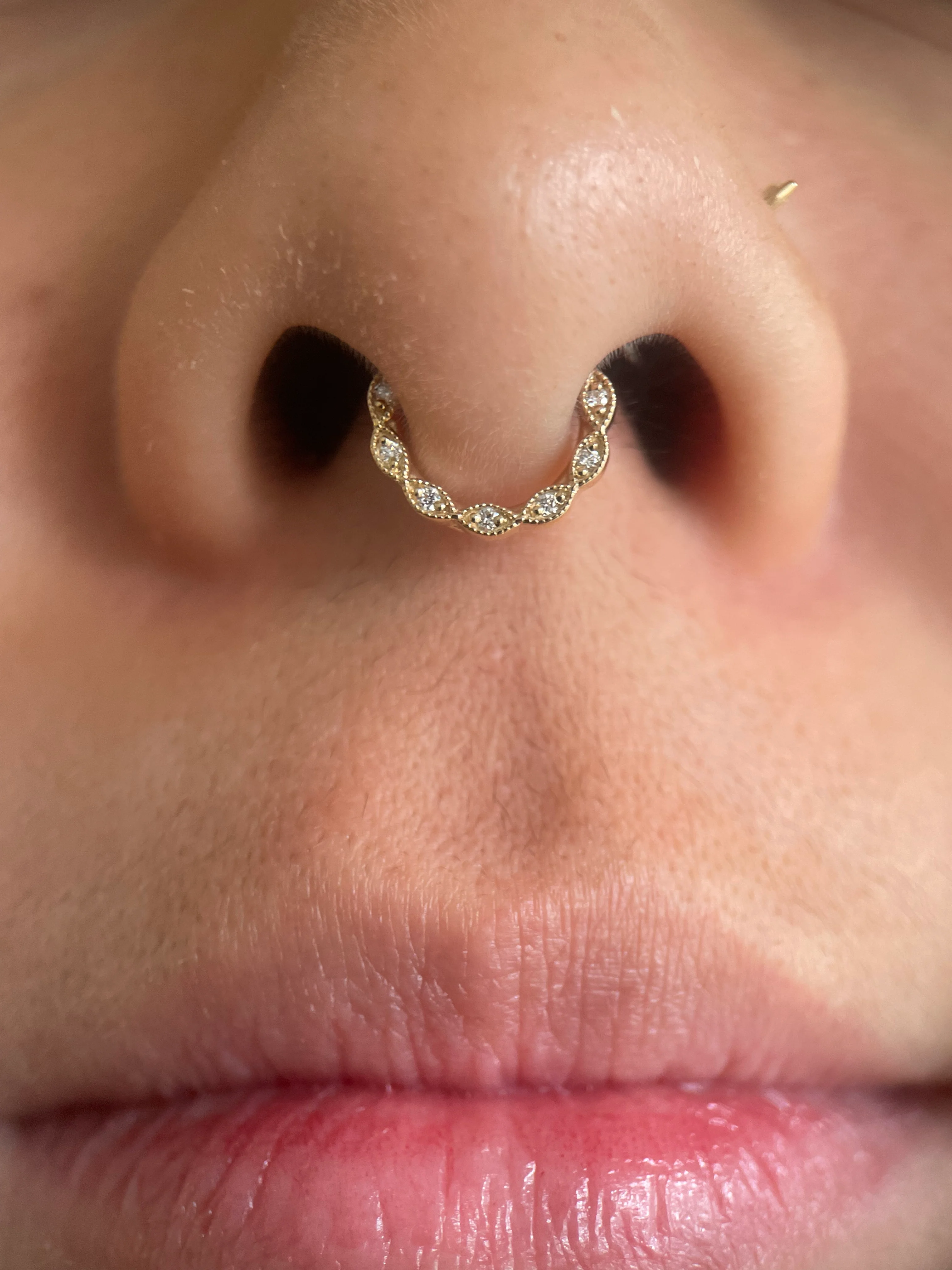 BVLA Violet Ring - Septum Oriented - Image 2