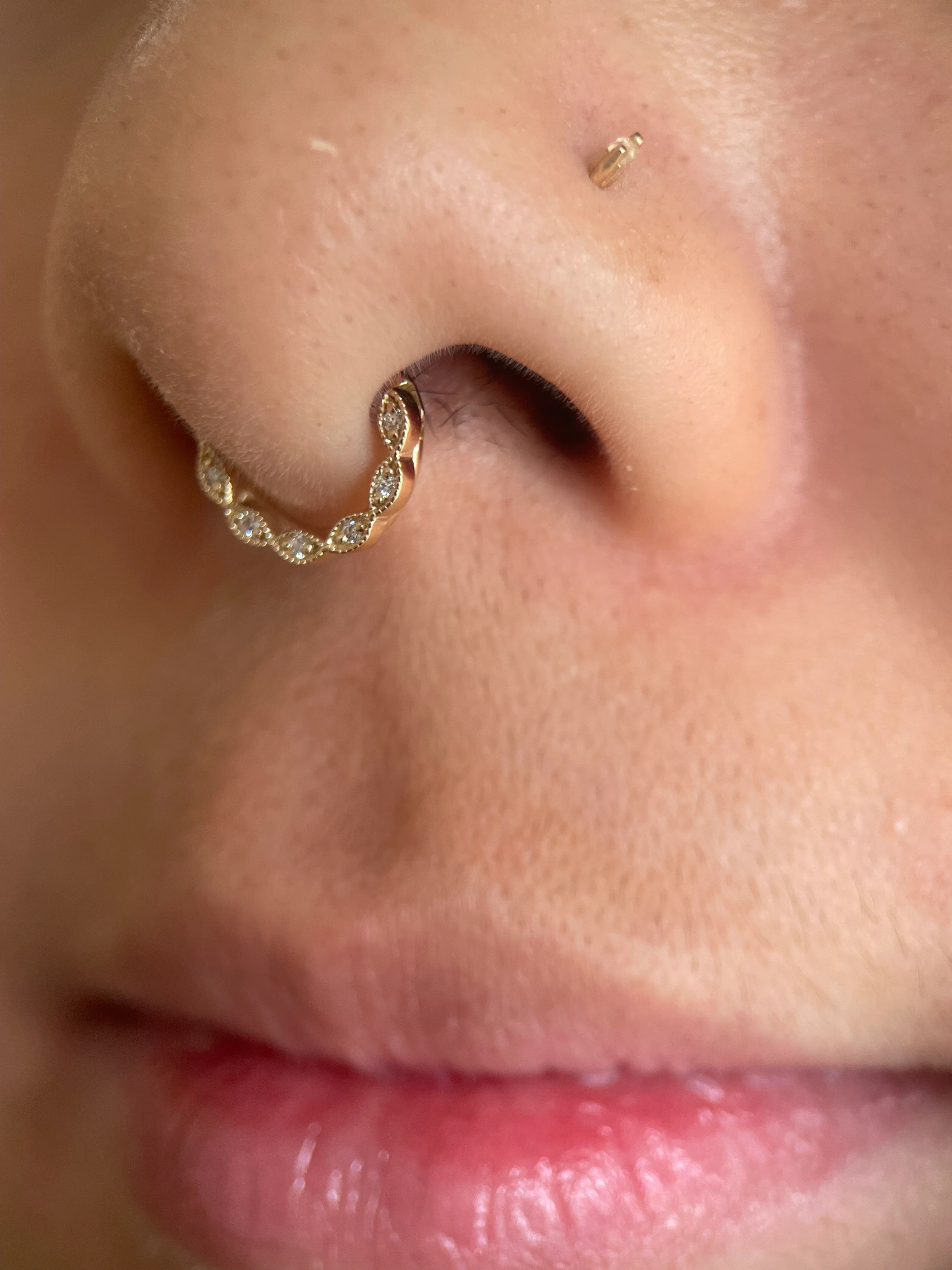 BVLA Violet Ring - Septum Oriented - Image 3