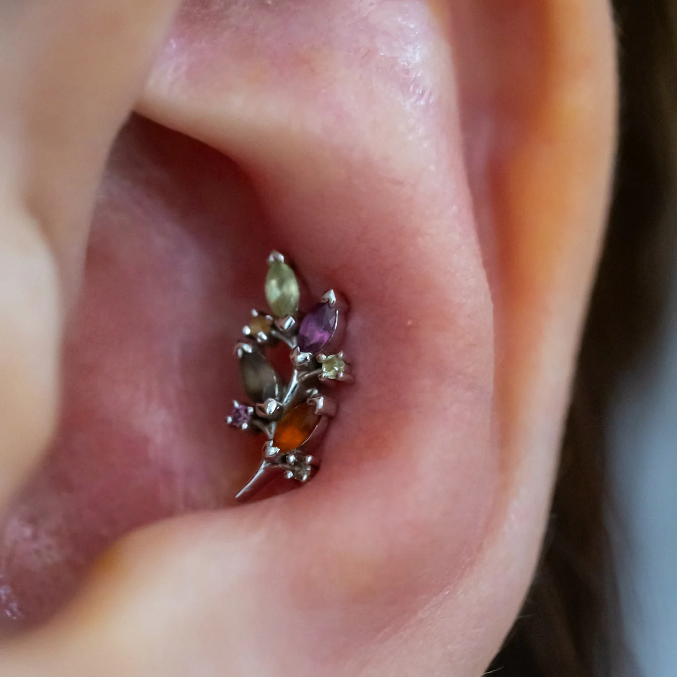 Conch Piercing - Image 10