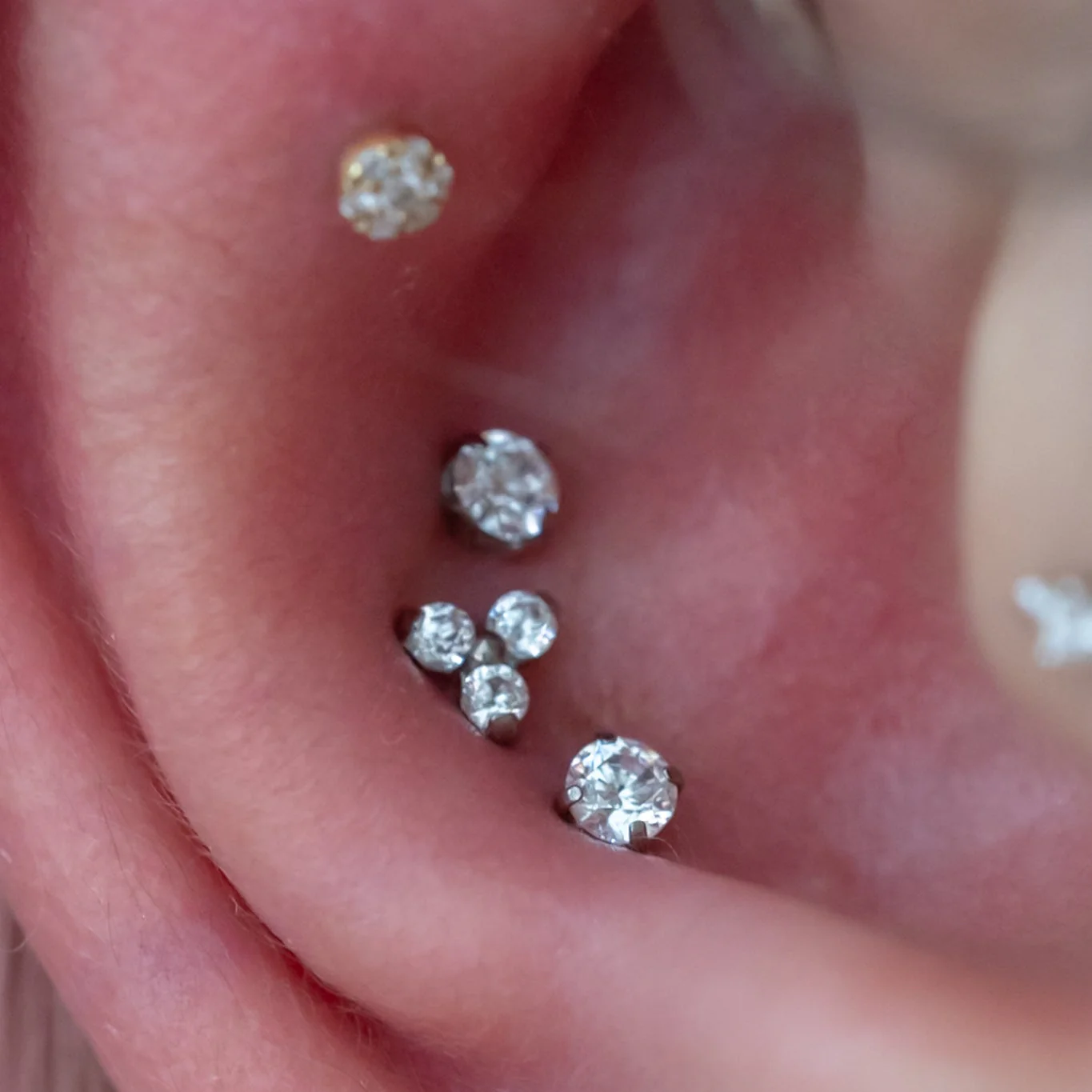 Conch Piercing - Image 14