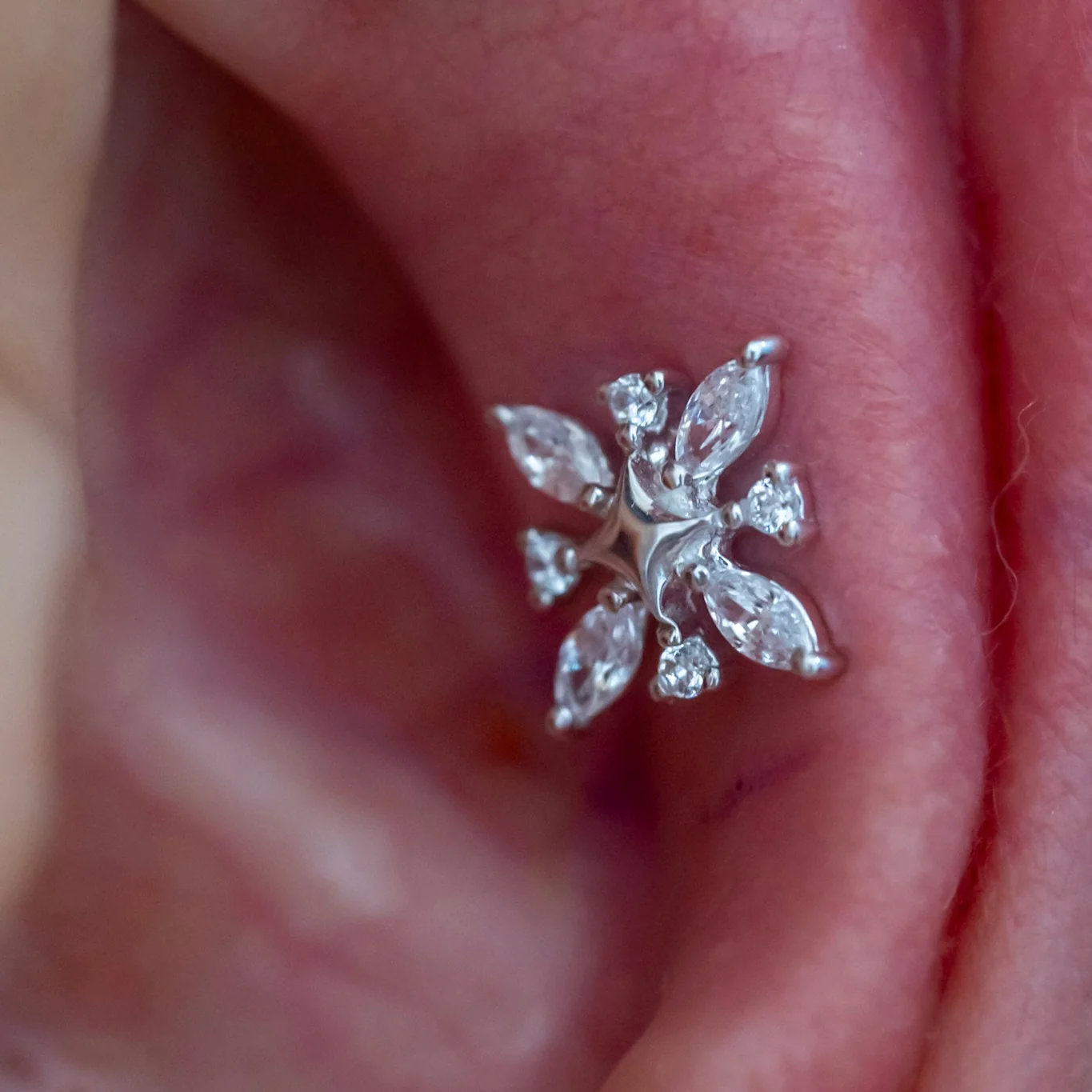 Conch Piercing - Image 7