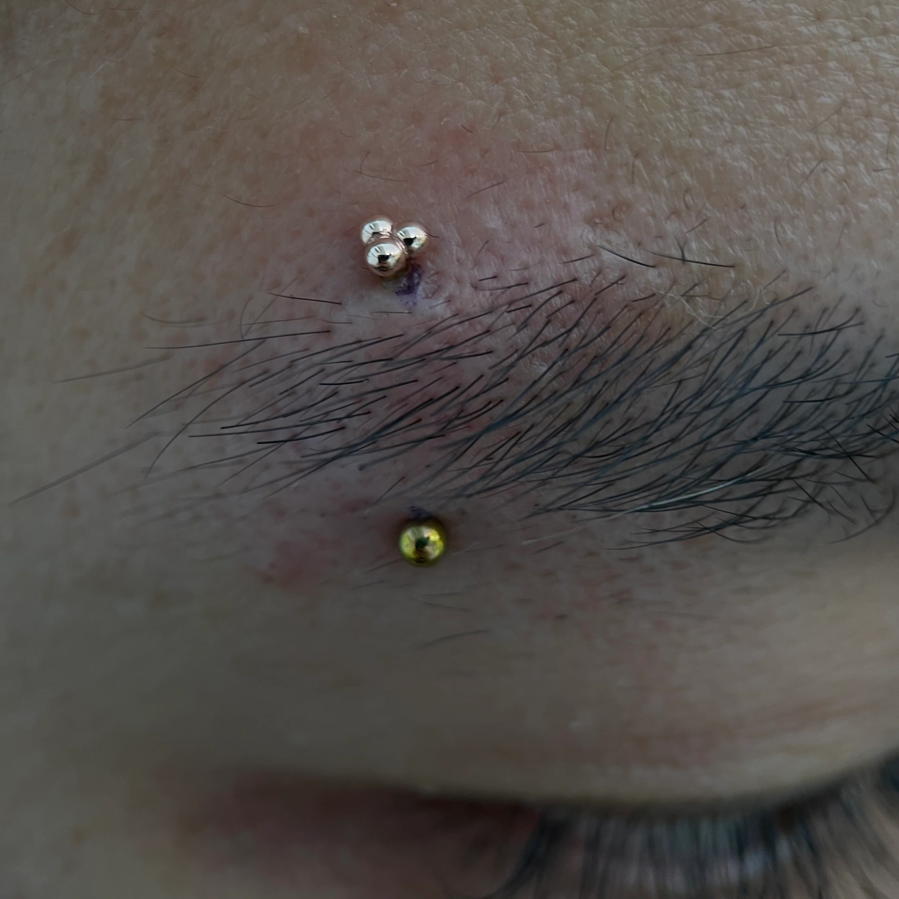 Eyebrow Piercing - Image 3