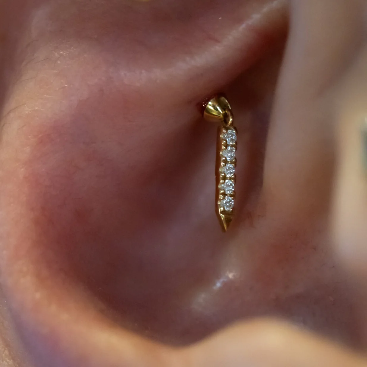 Hidden Rook Piercing - Image 3