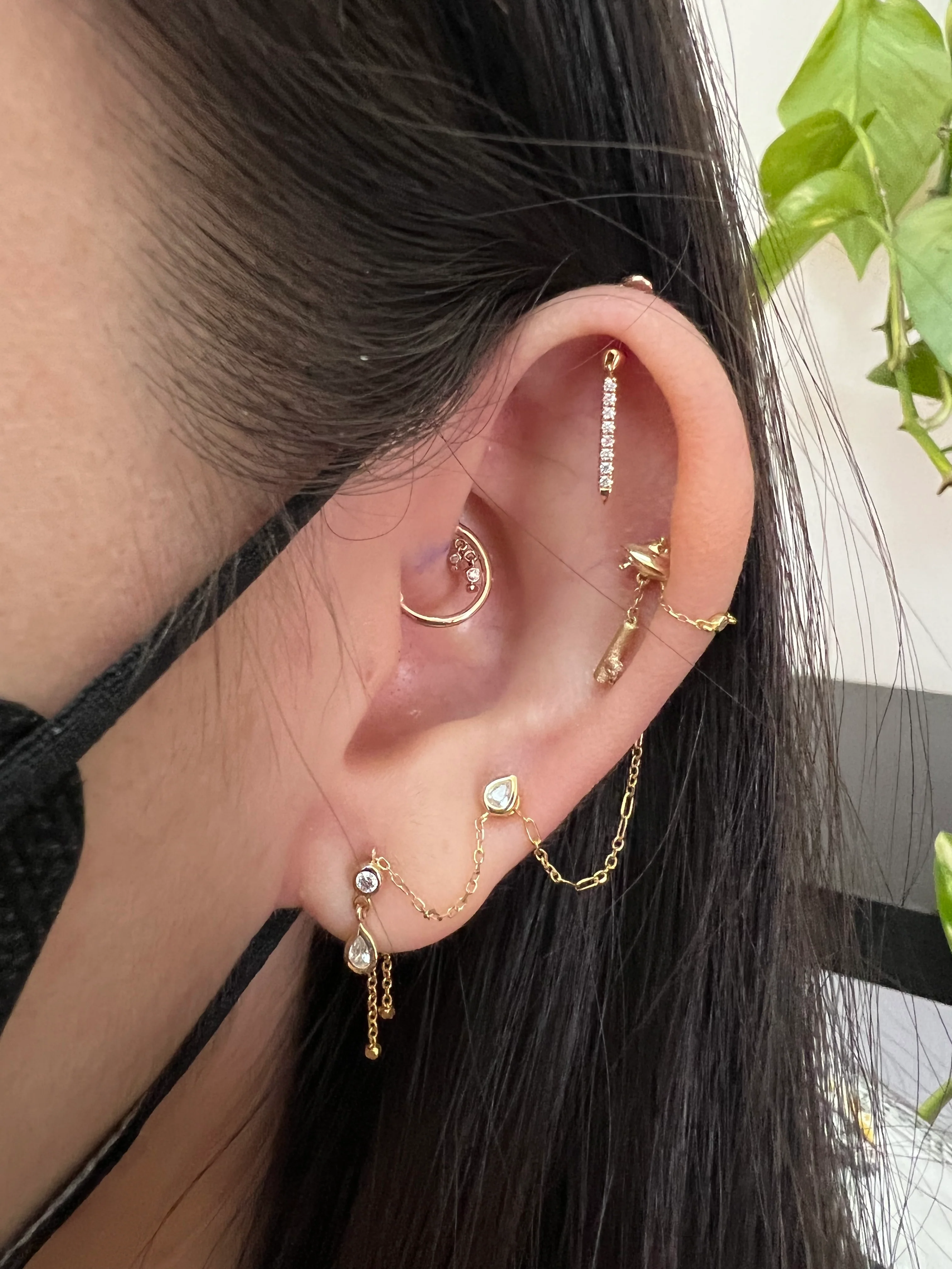 Multiple Piercings - Image 5