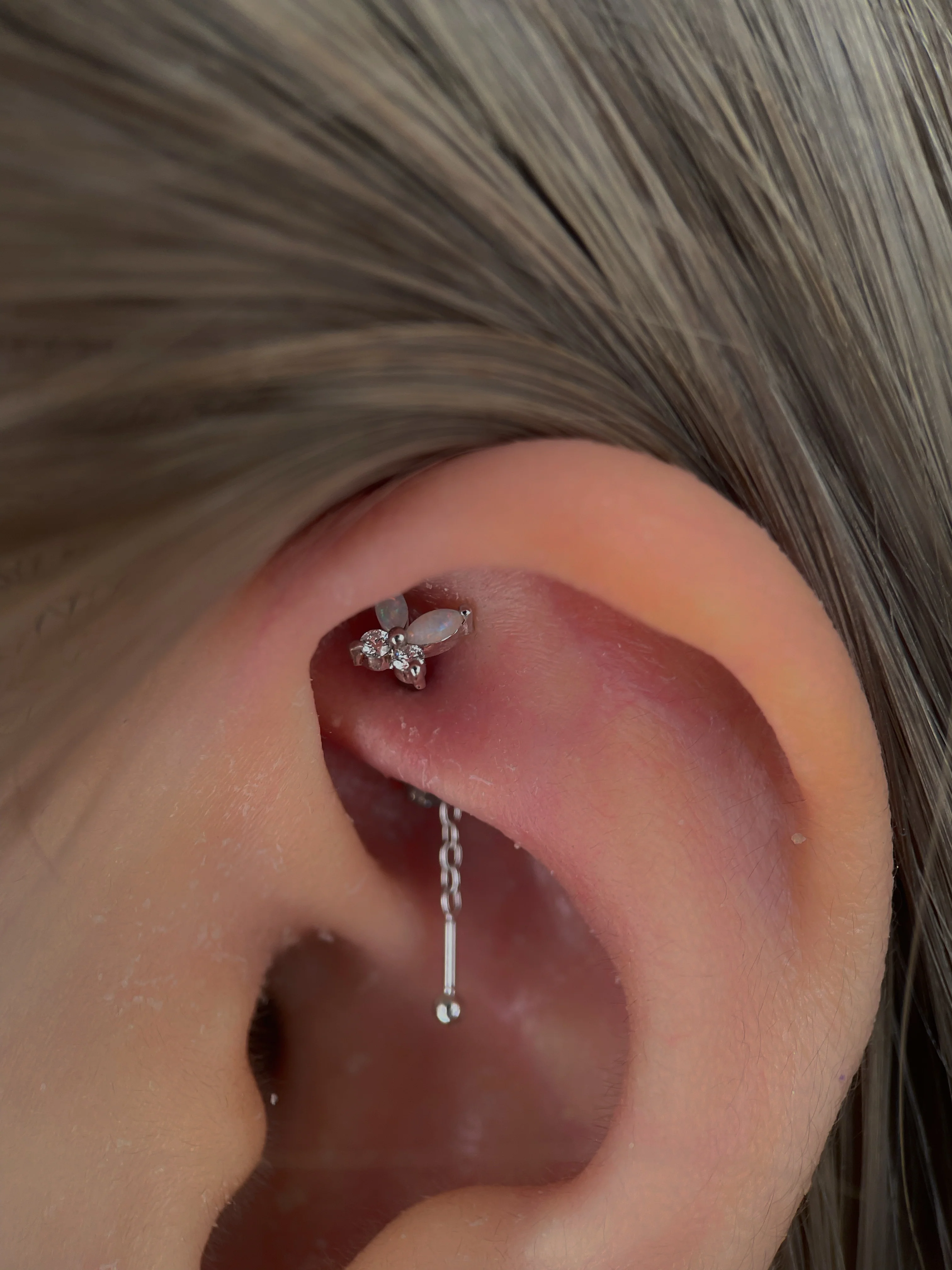 Rook Piercing - Image 11