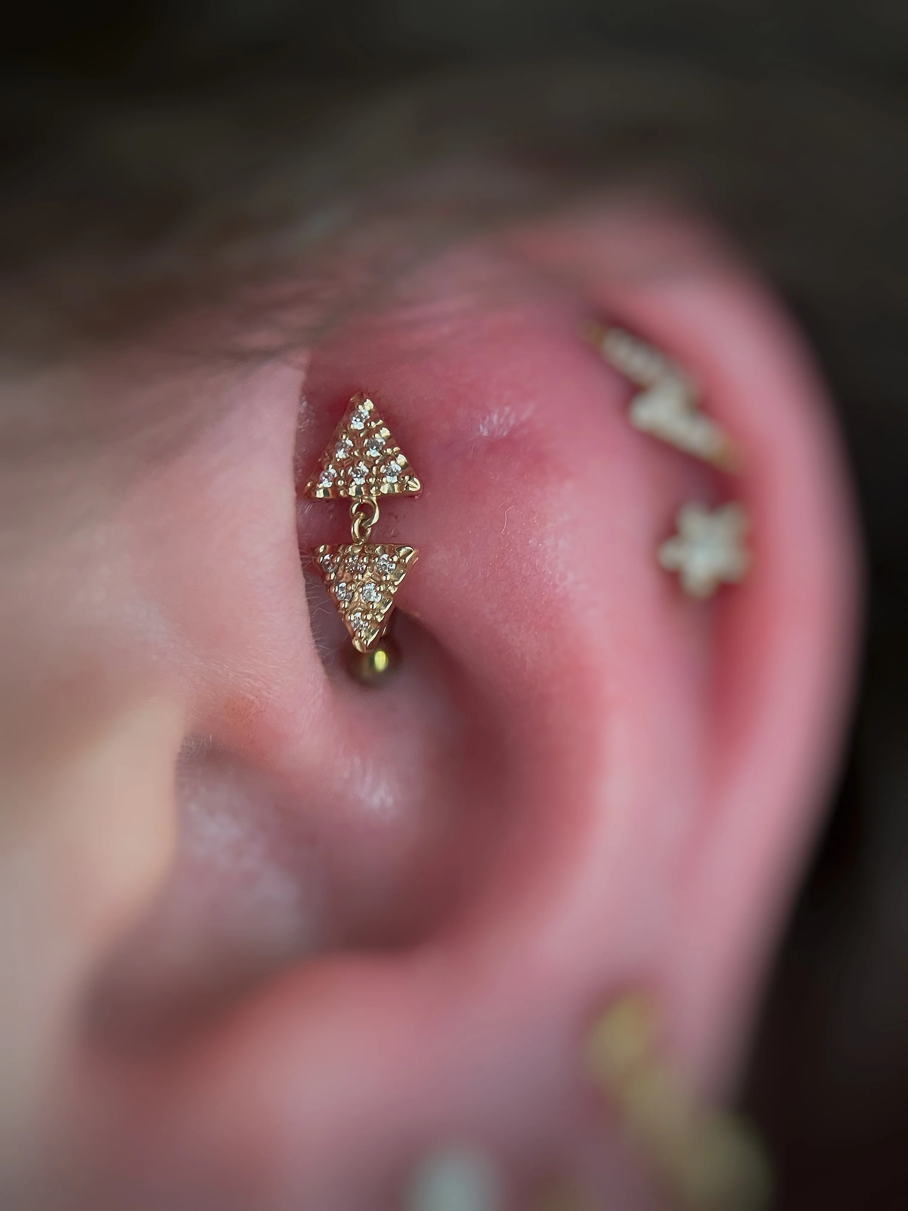 Rook Piercing - Image 13