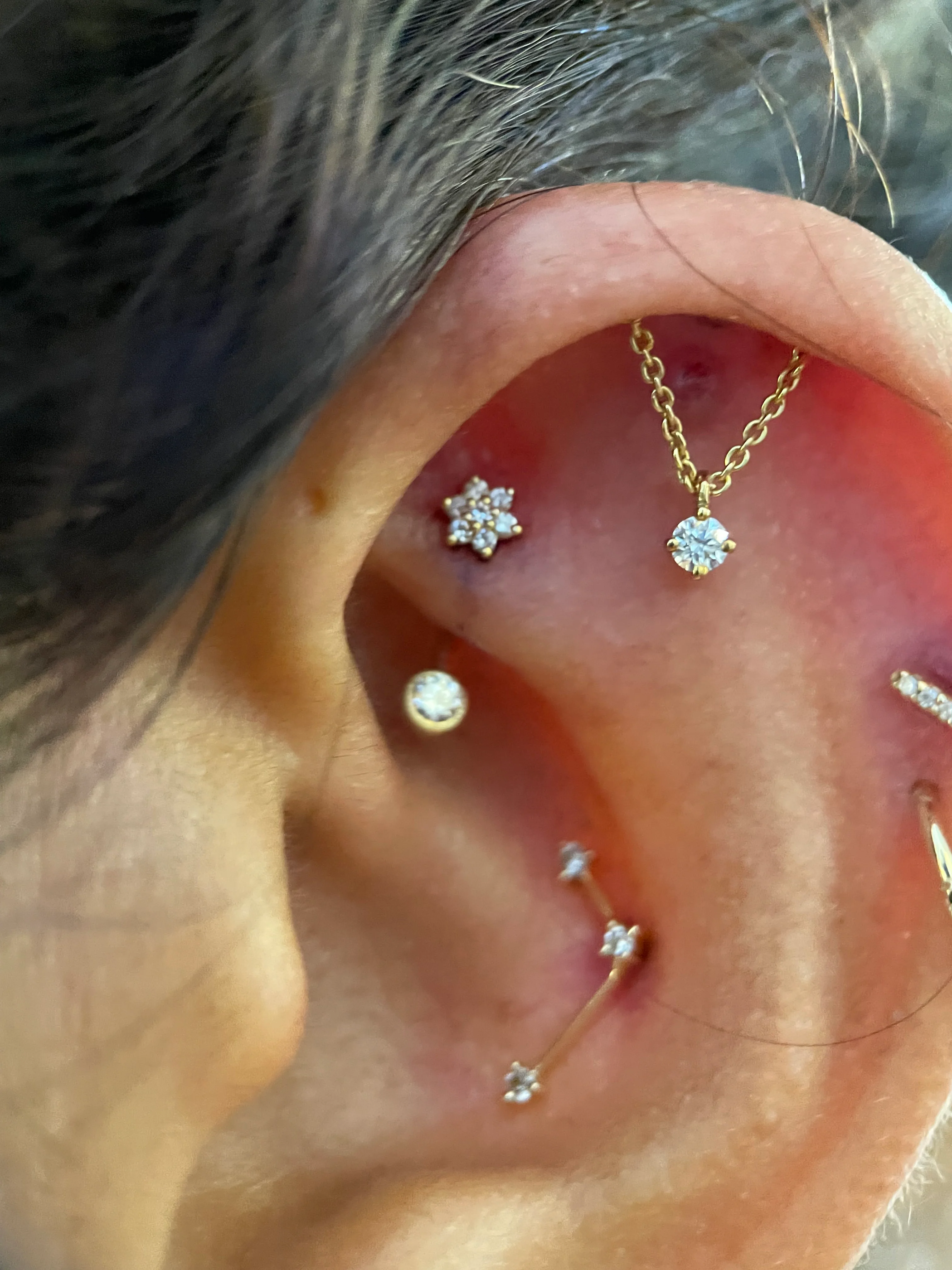 Rook Piercing - Image 16