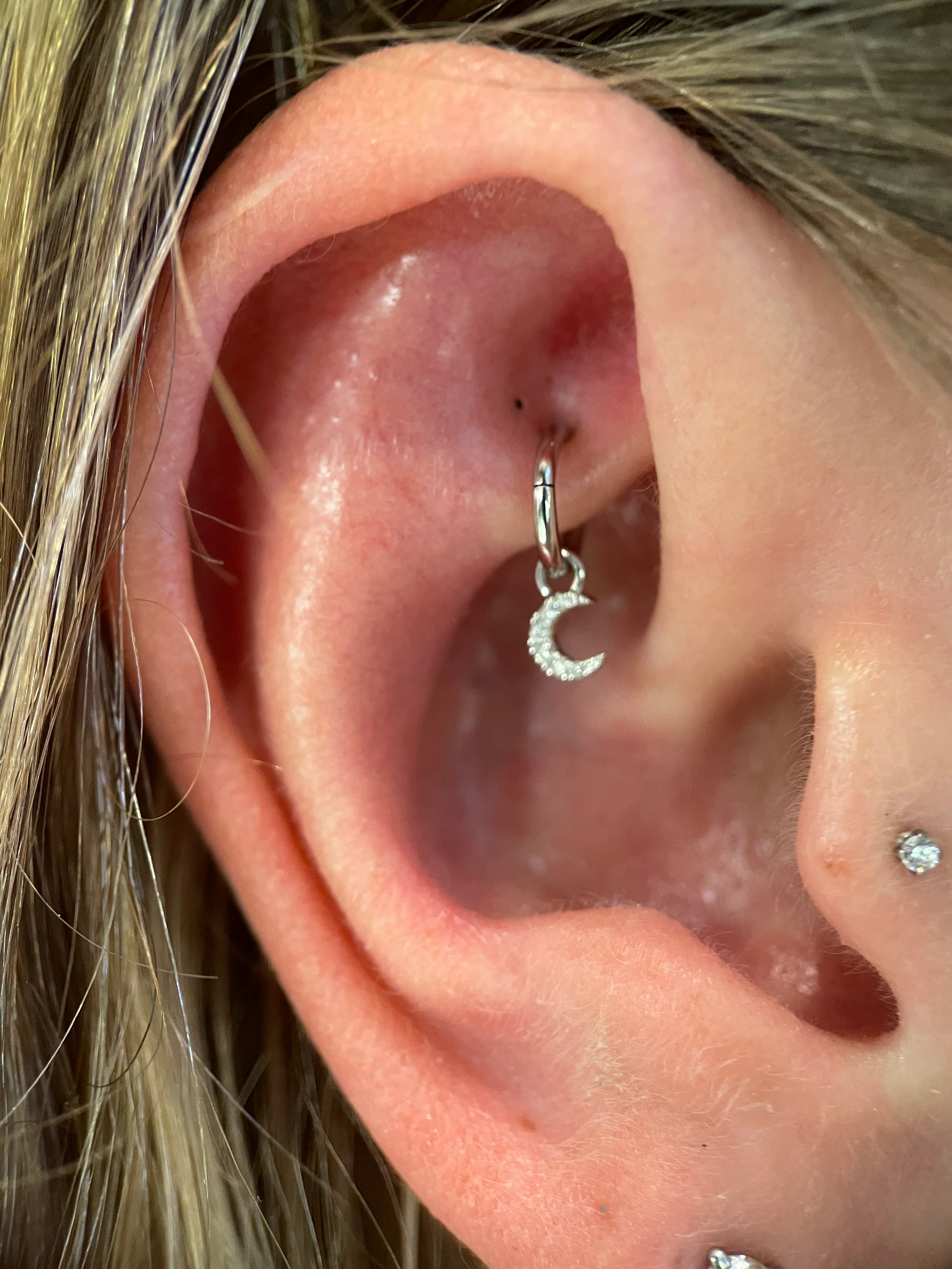 Rook Piercing - Image 17