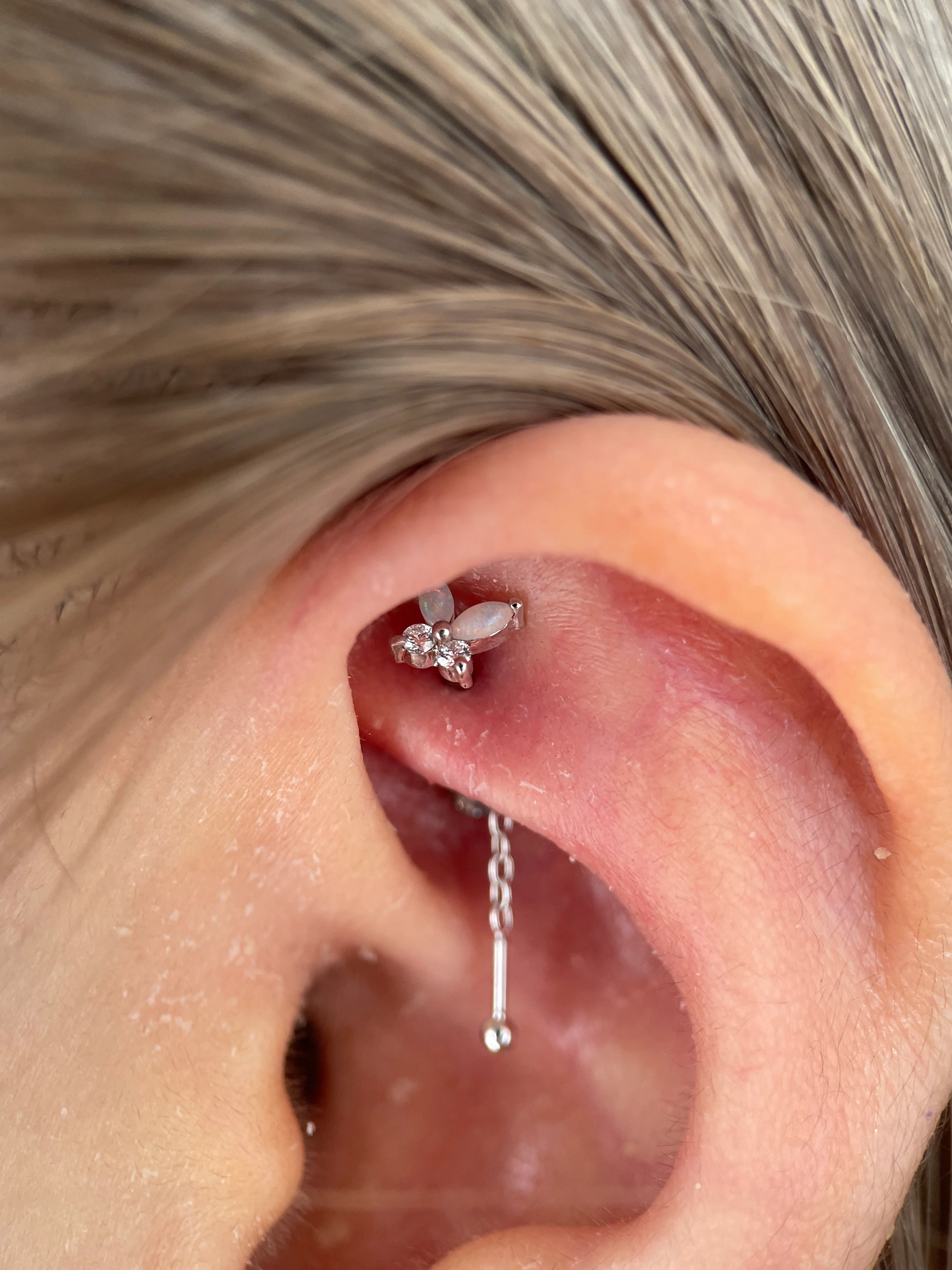 Rook Piercing - Image 24