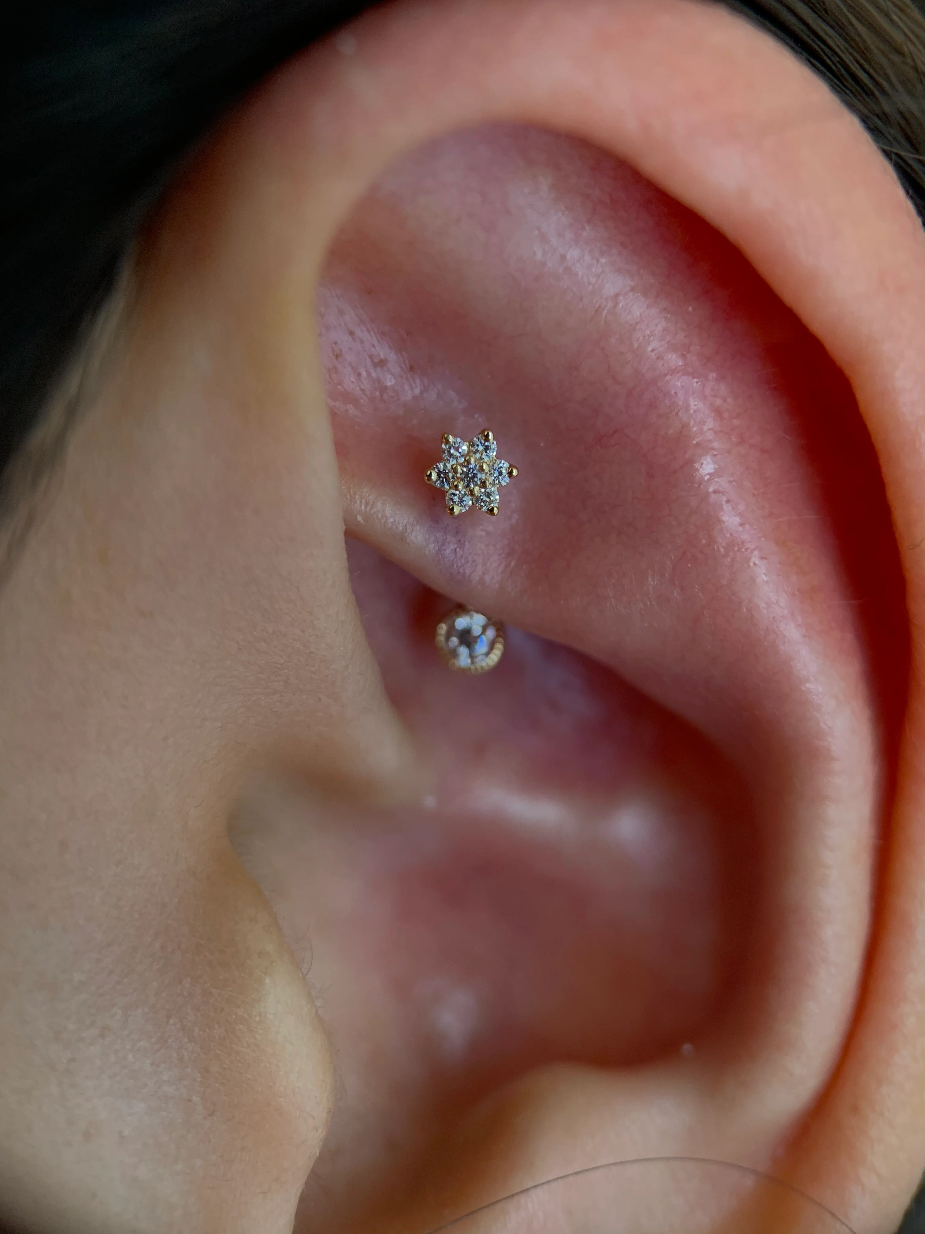 Rook Piercing - Image 31