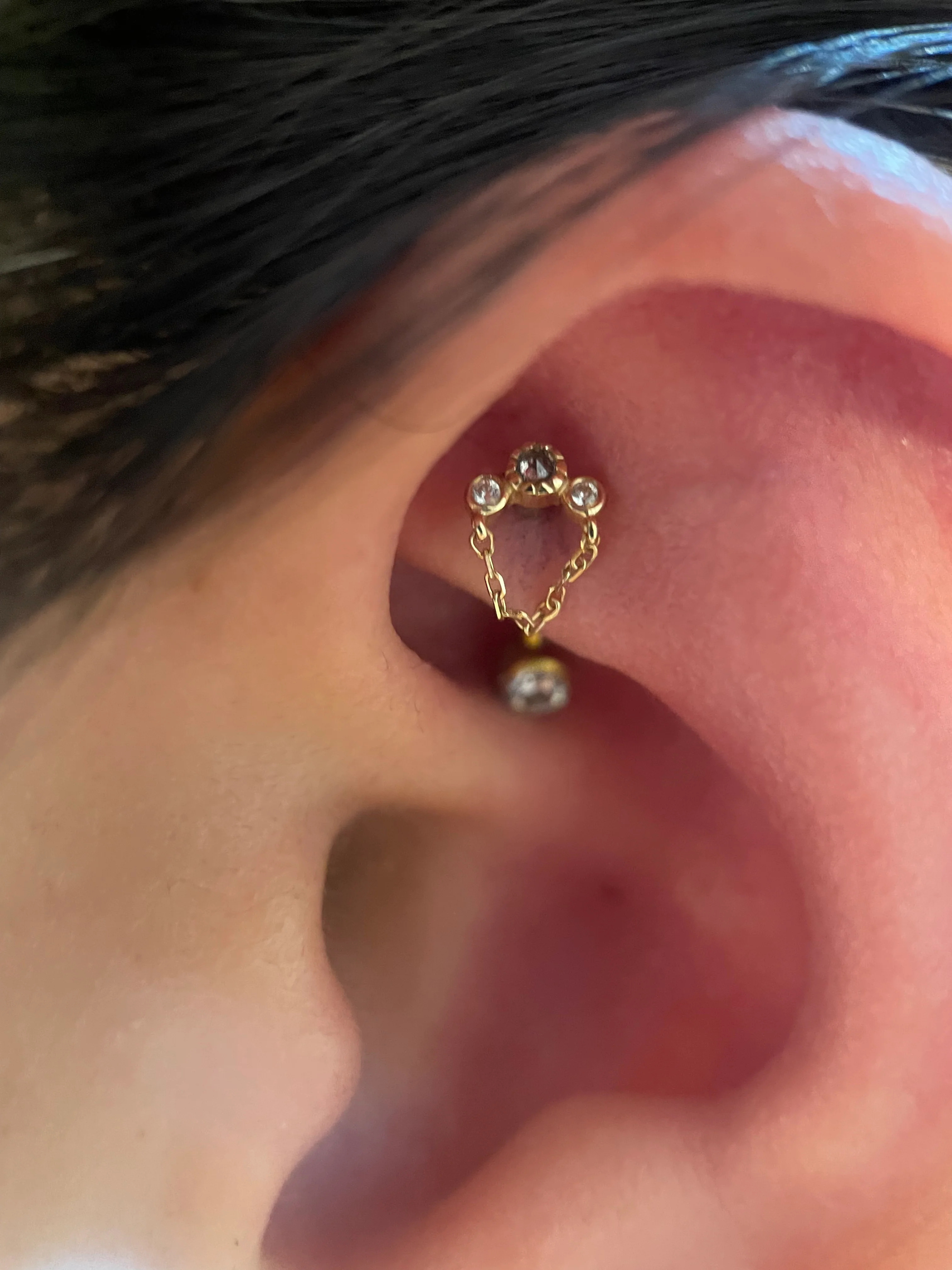 Rook Piercing - Image 38