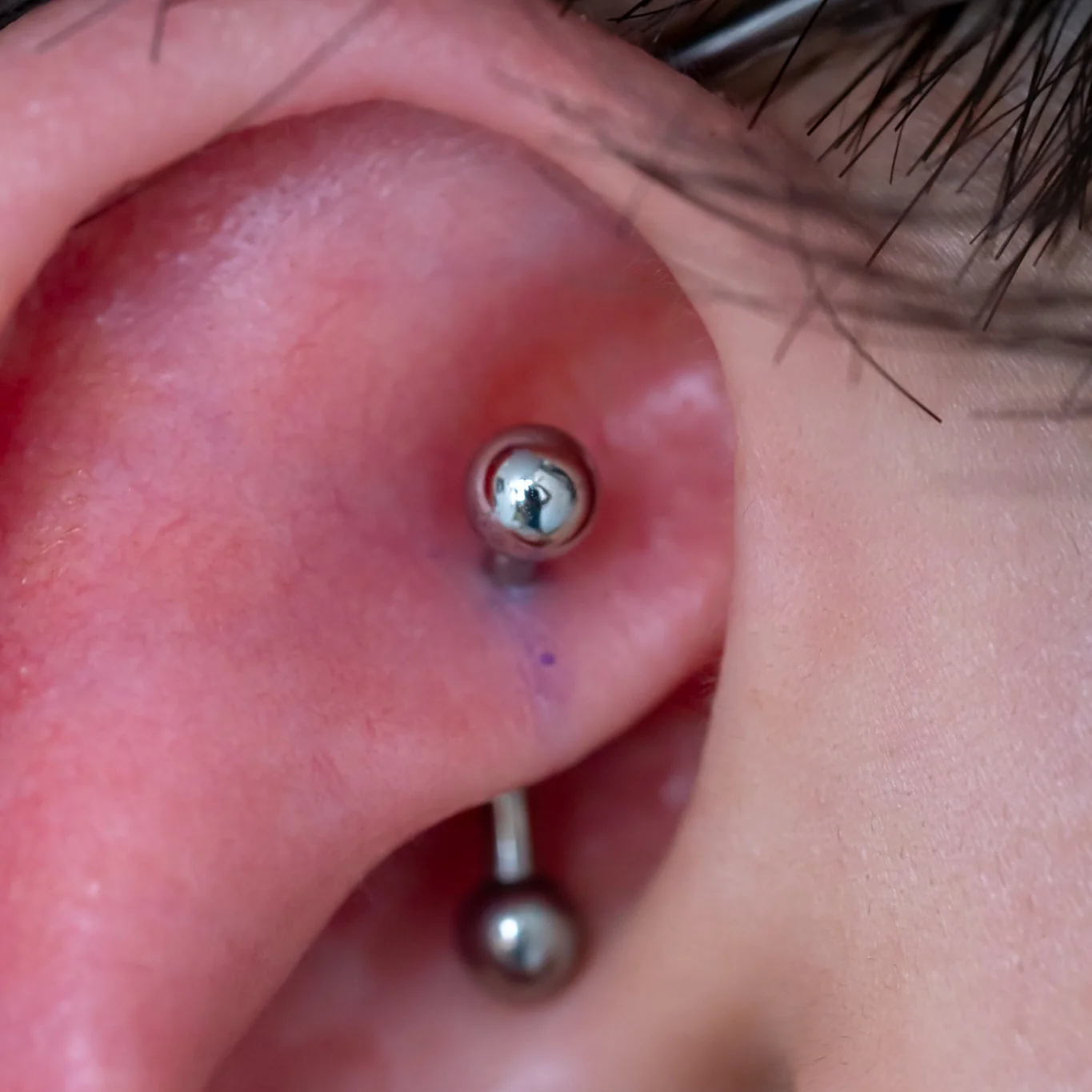 Rook Piercing - Image 42