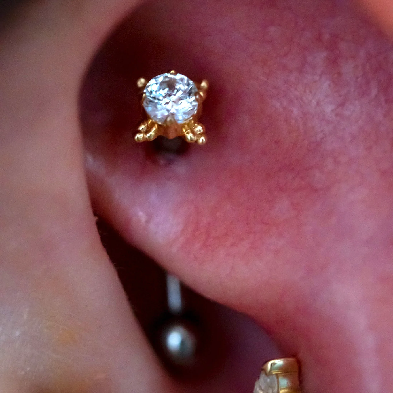 Rook Piercing - Image 6