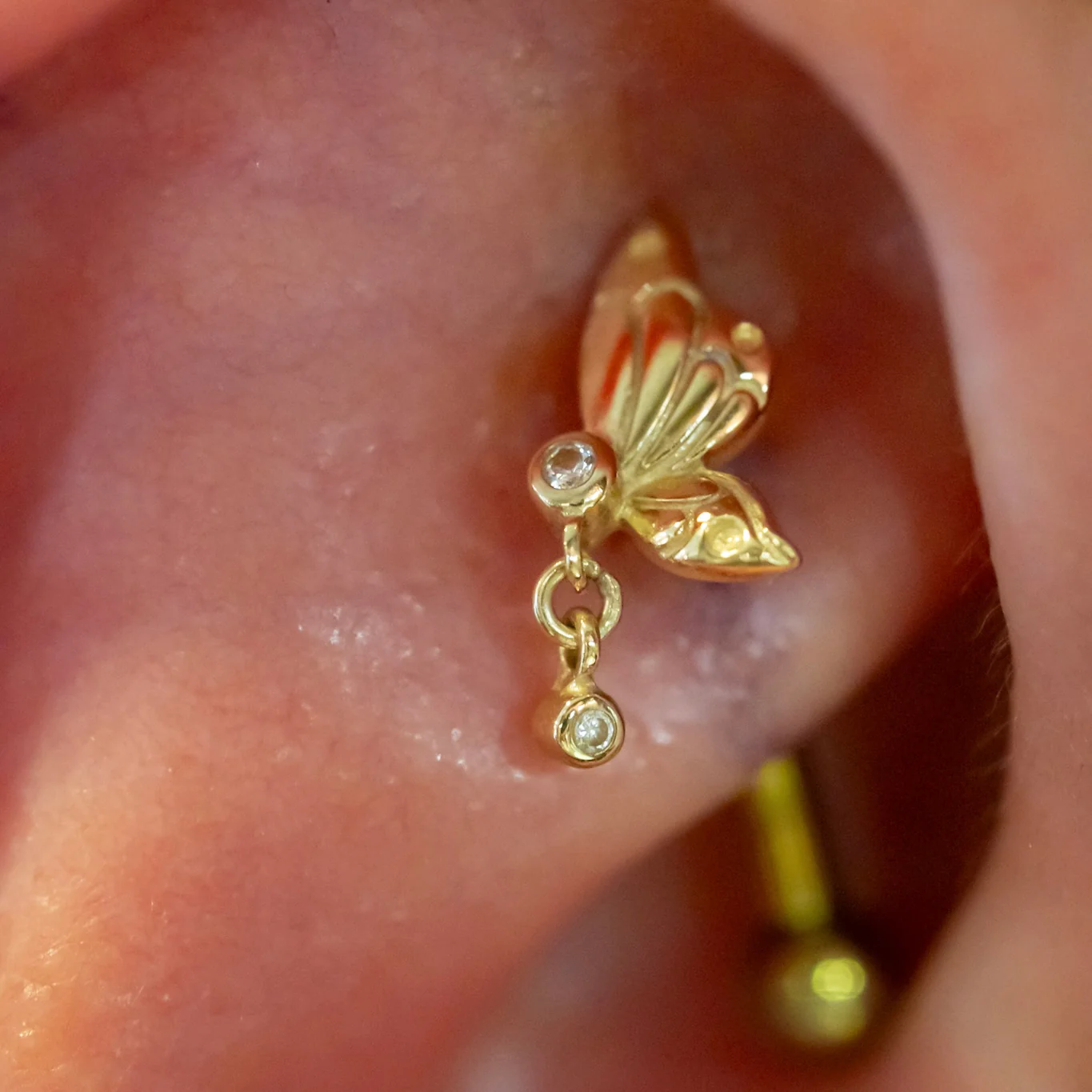 Rook Piercing - Image 8